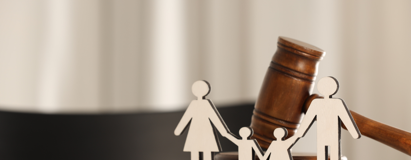 Immigration Lawyers
