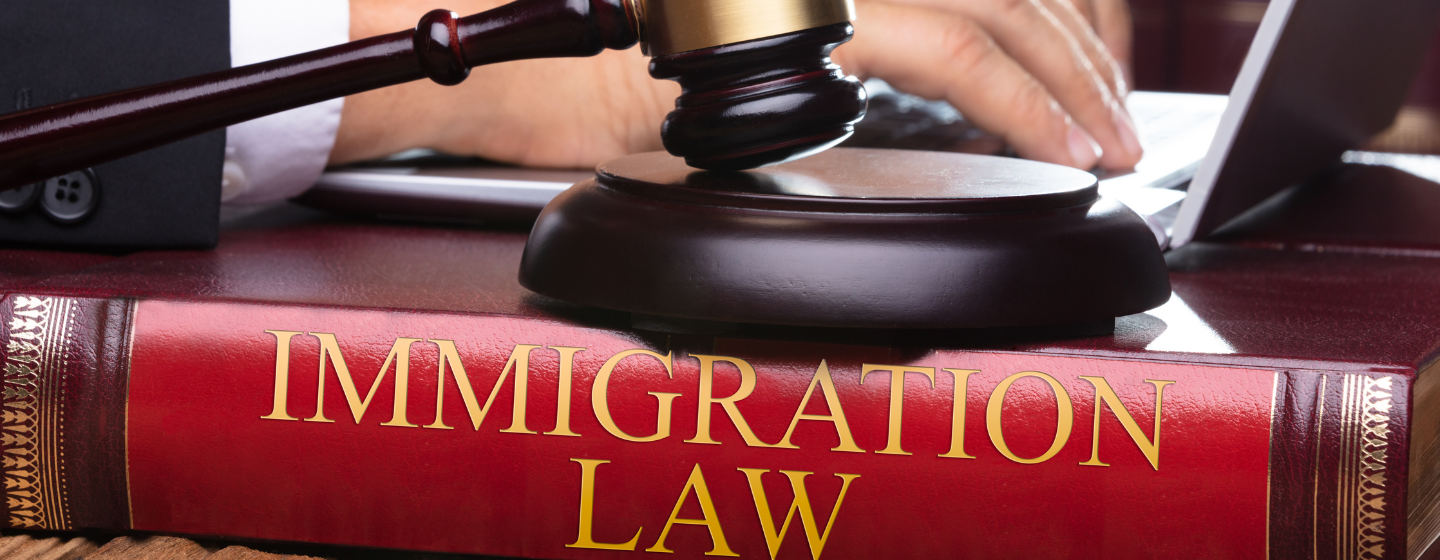 Immigration Lawyers